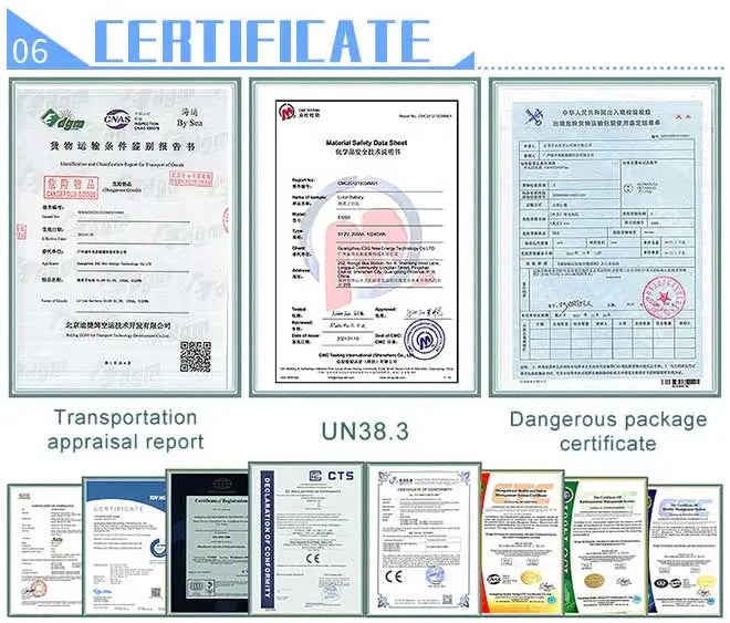 ESG Good Quality LiFePo4 Battery 12.8V/25.6V 100Ah 150AH 200AH  Smart BMS 8000 Cycles Rechargeable Lithium Battery Pack ABS Case