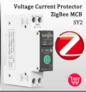 RCCB RCD DC Electric Vehicle EV Charging Pile Residual Current breaker  2P 63A 30mA Type B 10KA  Din Rail Earth Leakage TONGOU