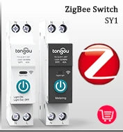 RCCB RCD DC Electric Vehicle EV Charging Pile Residual Current breaker  2P 63A 30mA Type B 10KA  Din Rail Earth Leakage TONGOU