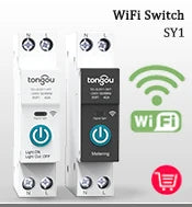 RCCB RCD DC Electric Vehicle EV Charging Pile Residual Current breaker  2P 63A 30mA Type B 10KA  Din Rail Earth Leakage TONGOU