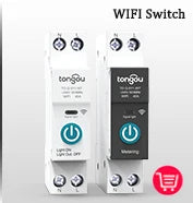 RCCB RCD DC Electric Vehicle EV Charging Pile Residual Current breaker  2P 63A 30mA Type B 10KA  Din Rail Earth Leakage TONGOU